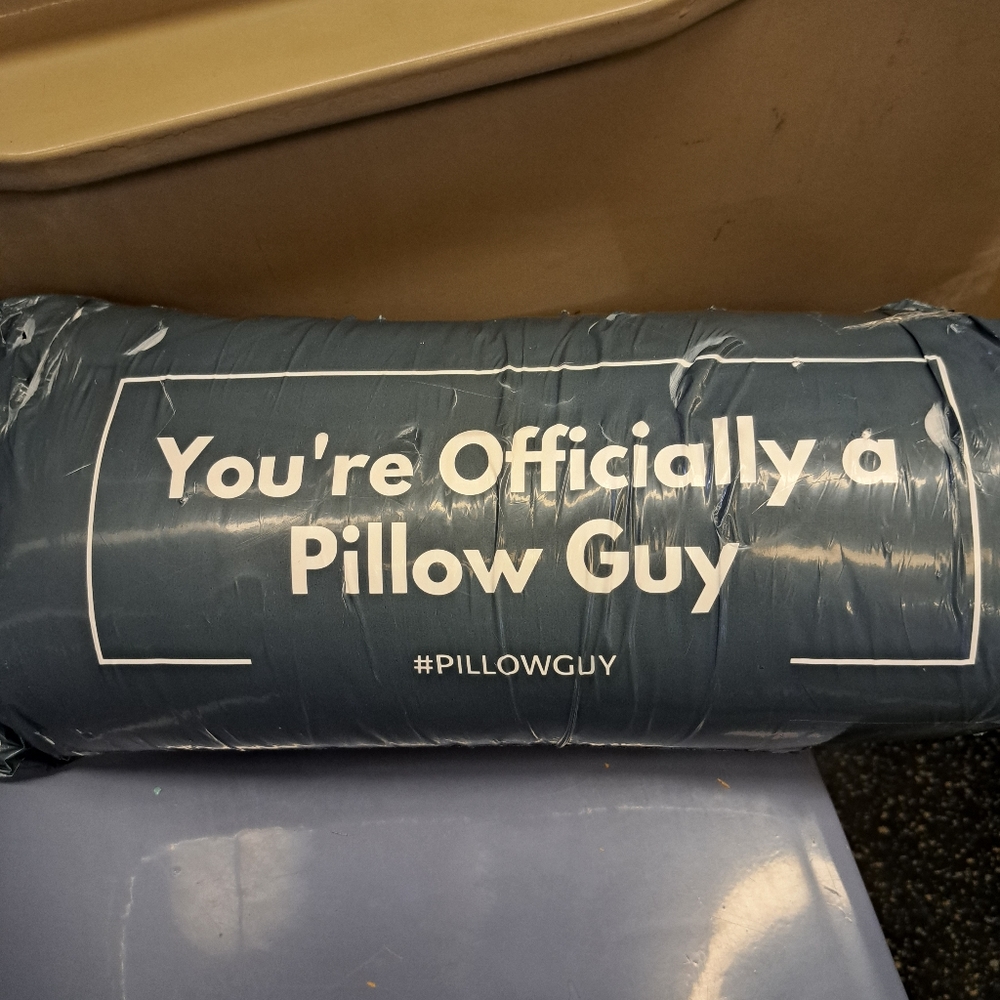 Pg Pillowguy pillow goose Down king